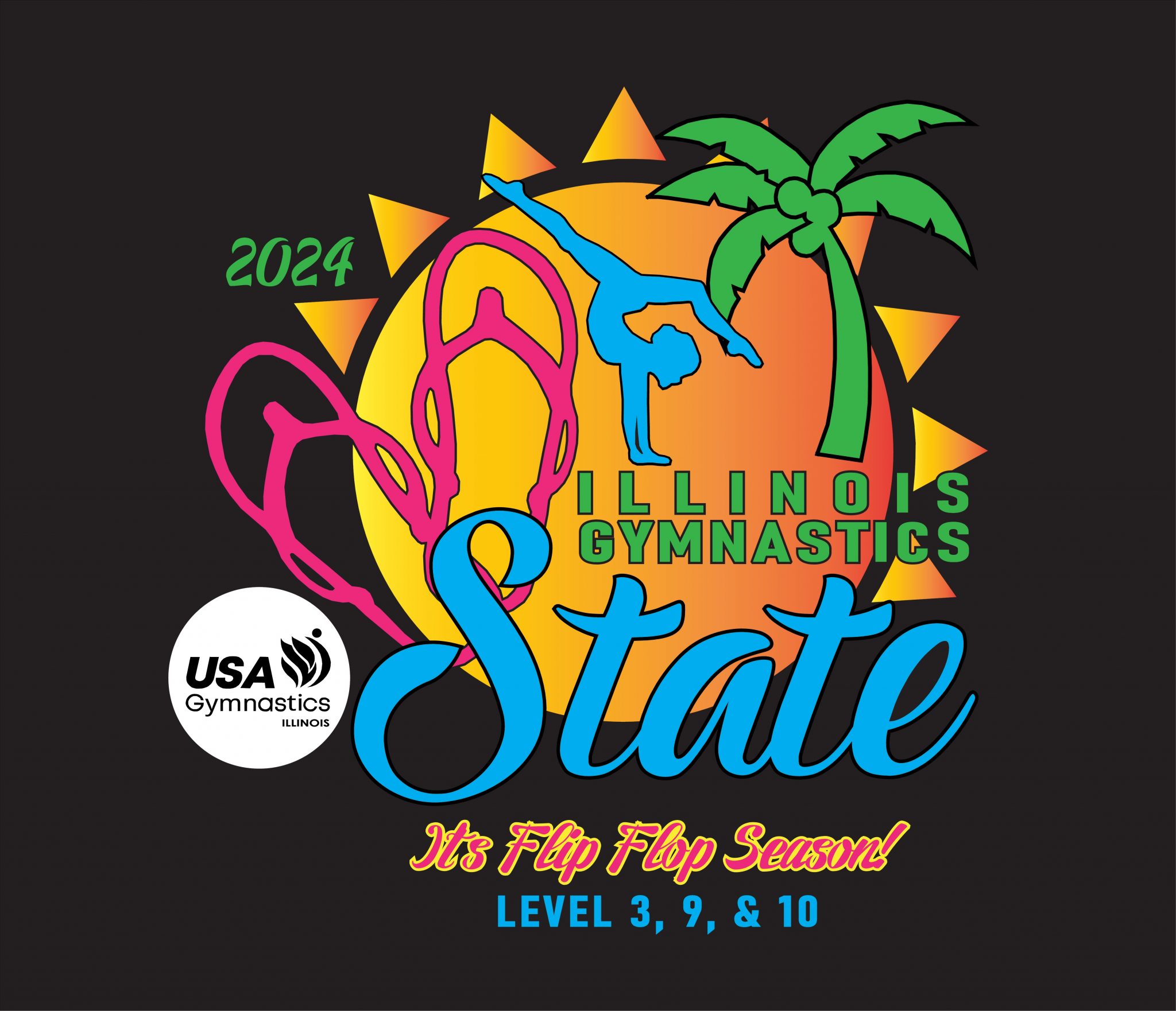 2023 2024 Illinois State Series Illinois USA Gymnastics